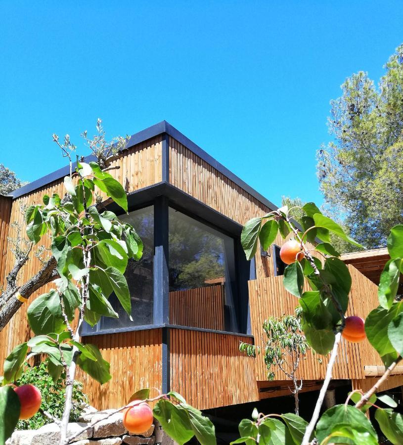 Villa Occitana Calvisson Bagian luar foto